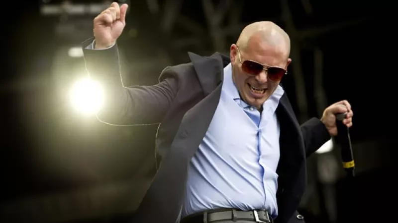 pitbull