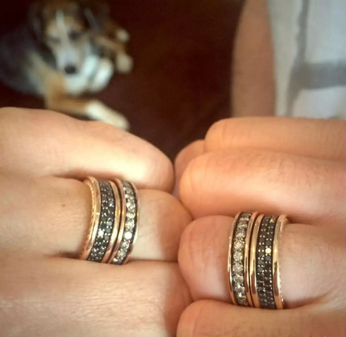 Los anillos de casados de Lance y Michael.