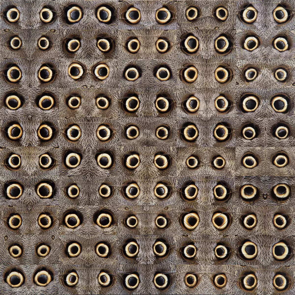 Vista a la exposición de gabriel de la Mora en el Museo Jumex. 