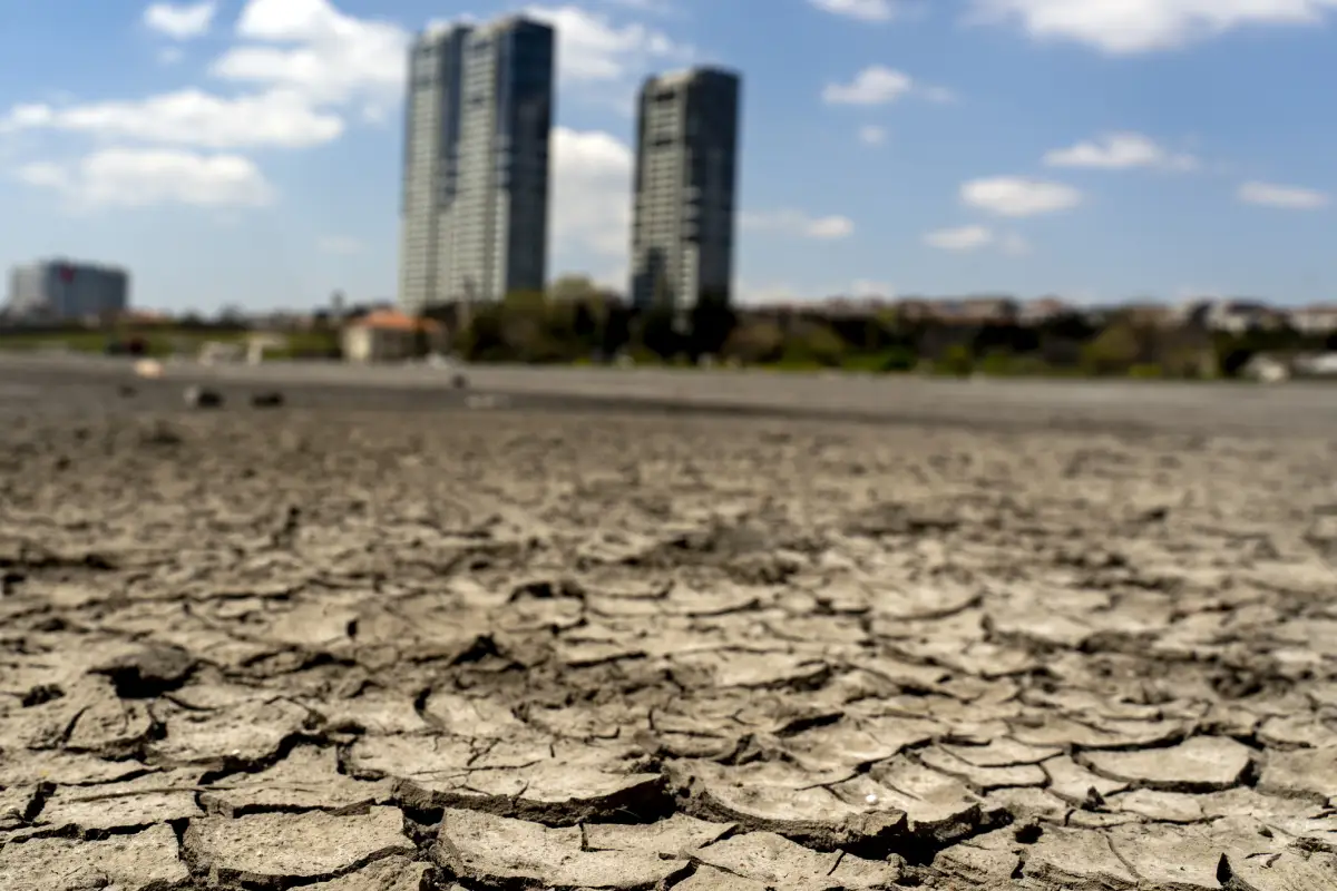 falta de agua vi