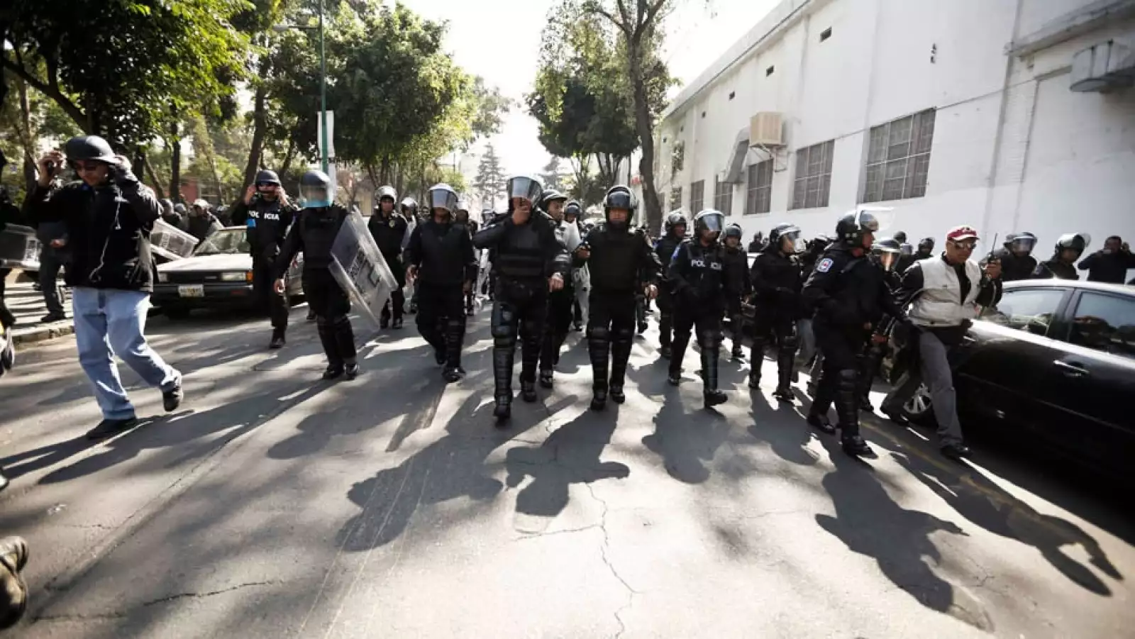 EXP. manifestacion, 1DMX