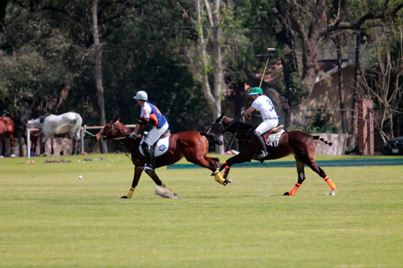 Juego de Polo México - España