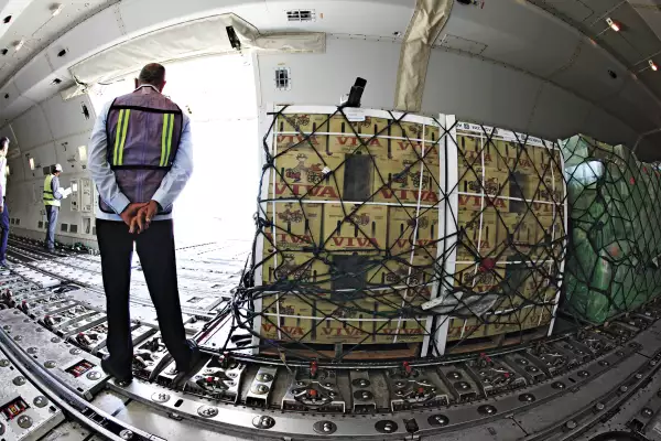 WTC Confianza realizó el programa piloto del proyecto el año pasado con moras de Chile. 