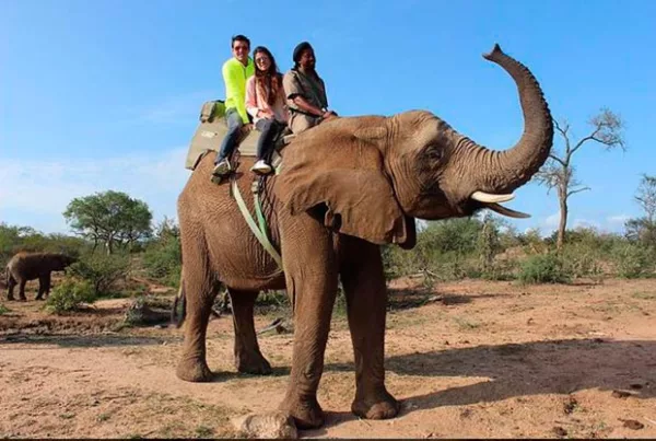 La pareja ha compartido fotos de su viaje en redes sociales.