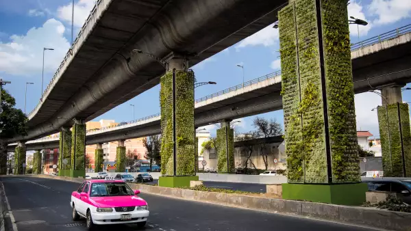 Reconocidos por el WEF. 