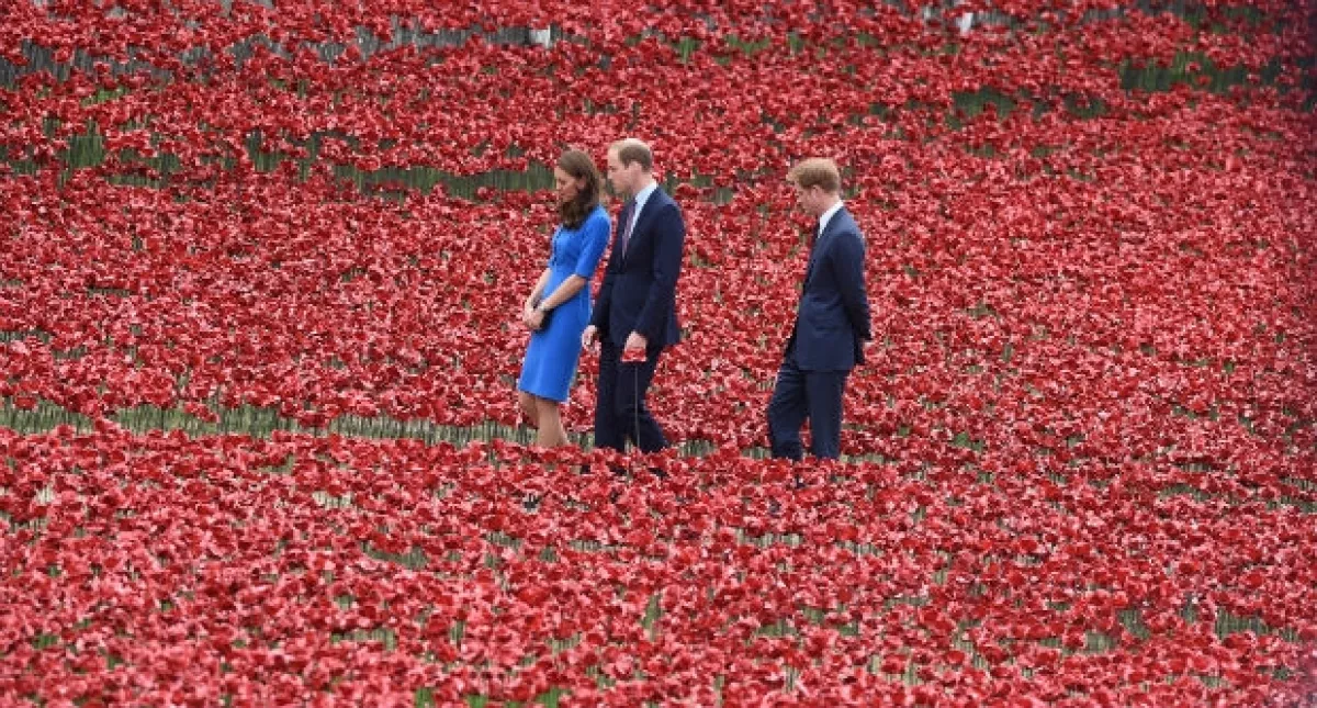 El rojo predomina a la vista en el campo de amapolas instalado en la Torre de Londres.