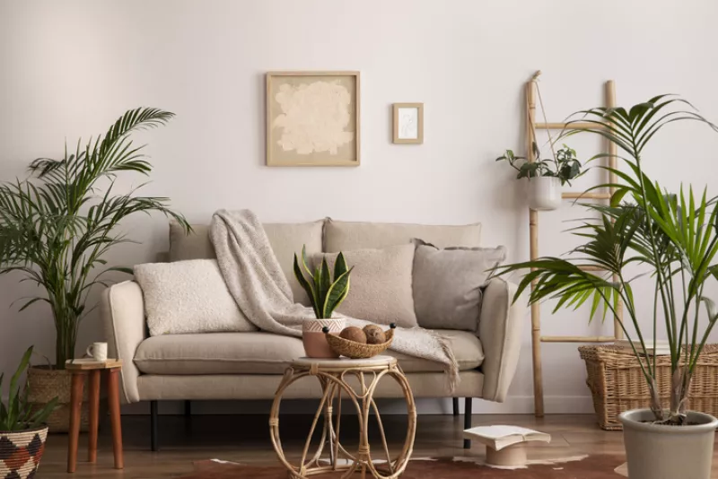 Habitación decorada con varias plantas

