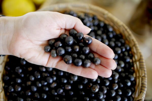 Açaí
