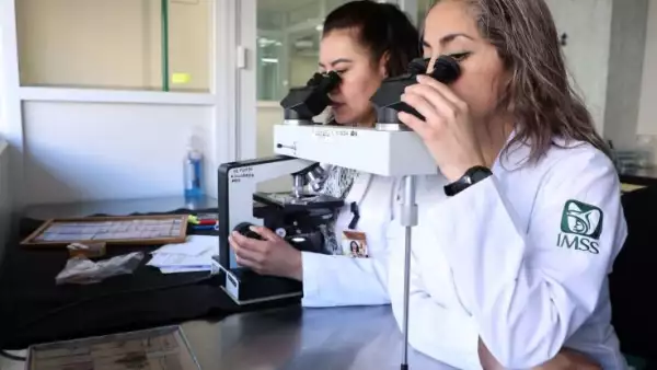 investigacion clinica.jpeg