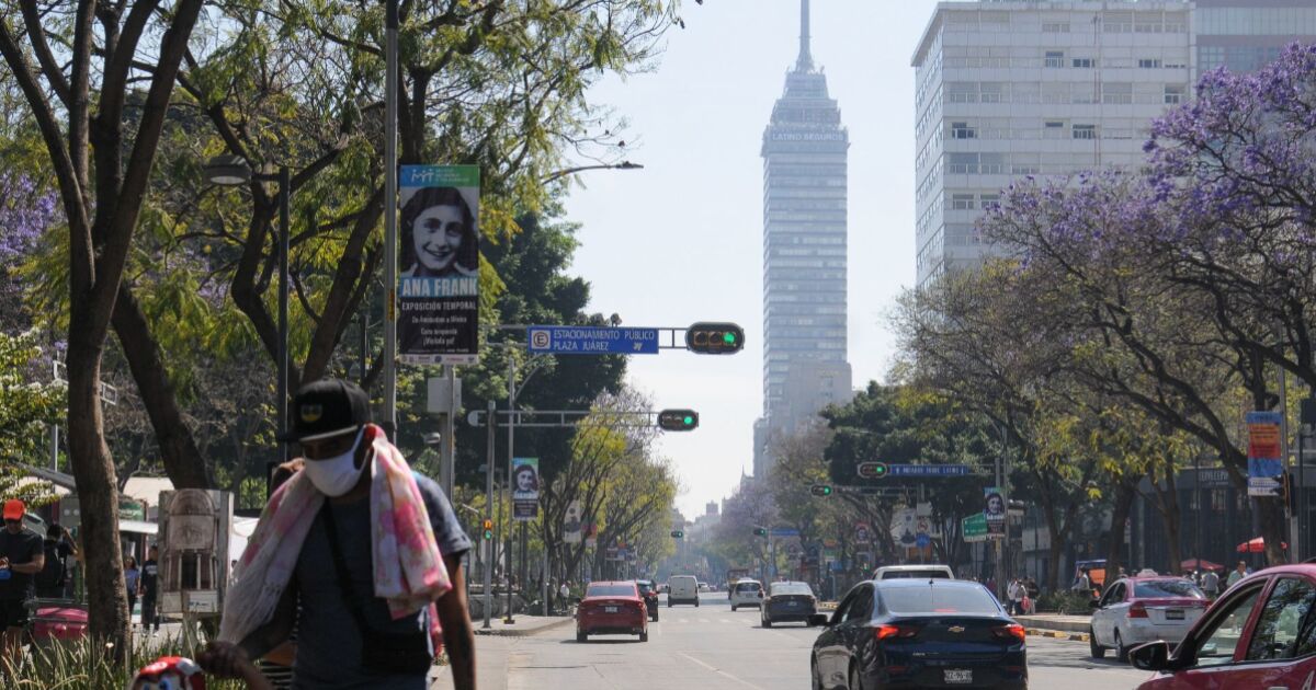 Çevresel durum sağlığı nasıl etkiler?  Bu neden oluyor