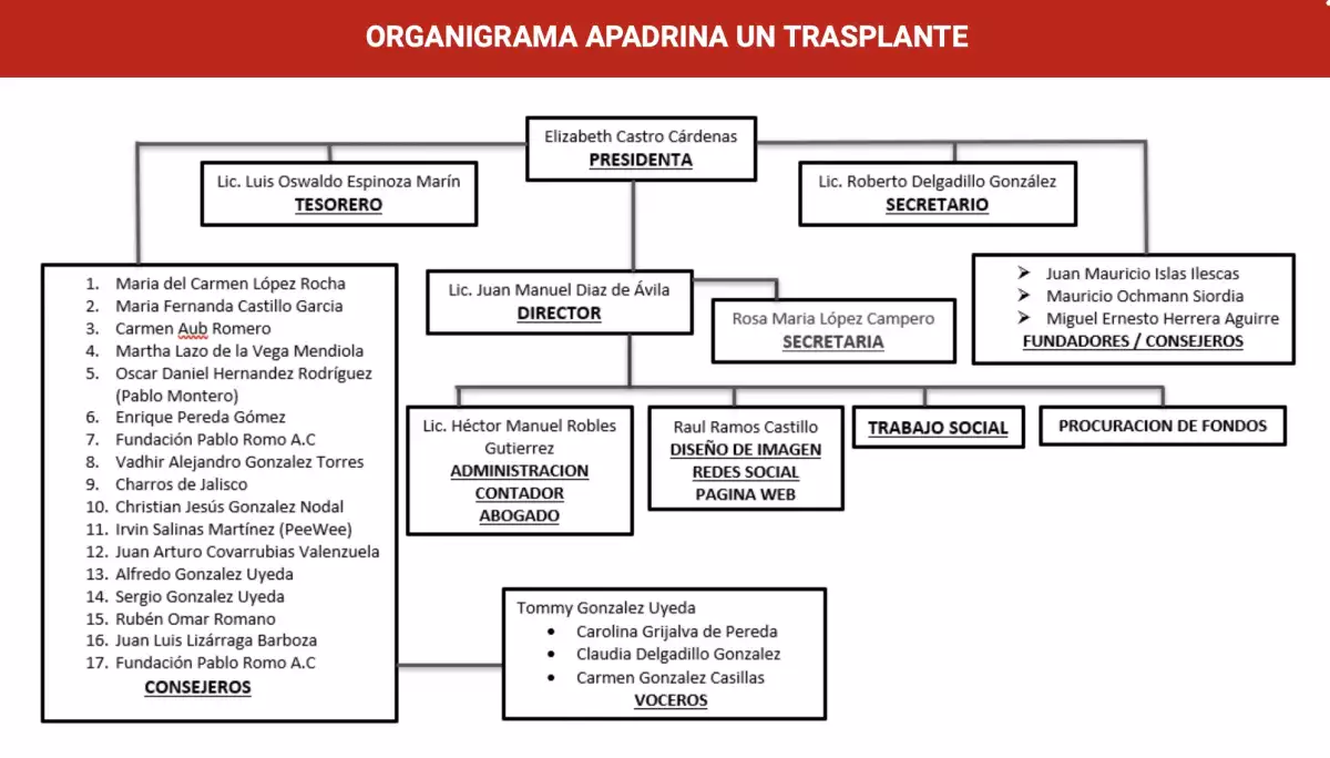 organigrama-apadrina-transplante.jpg
