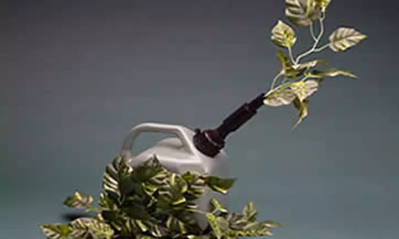 Biocombustible (Foto: Jupiter Images)