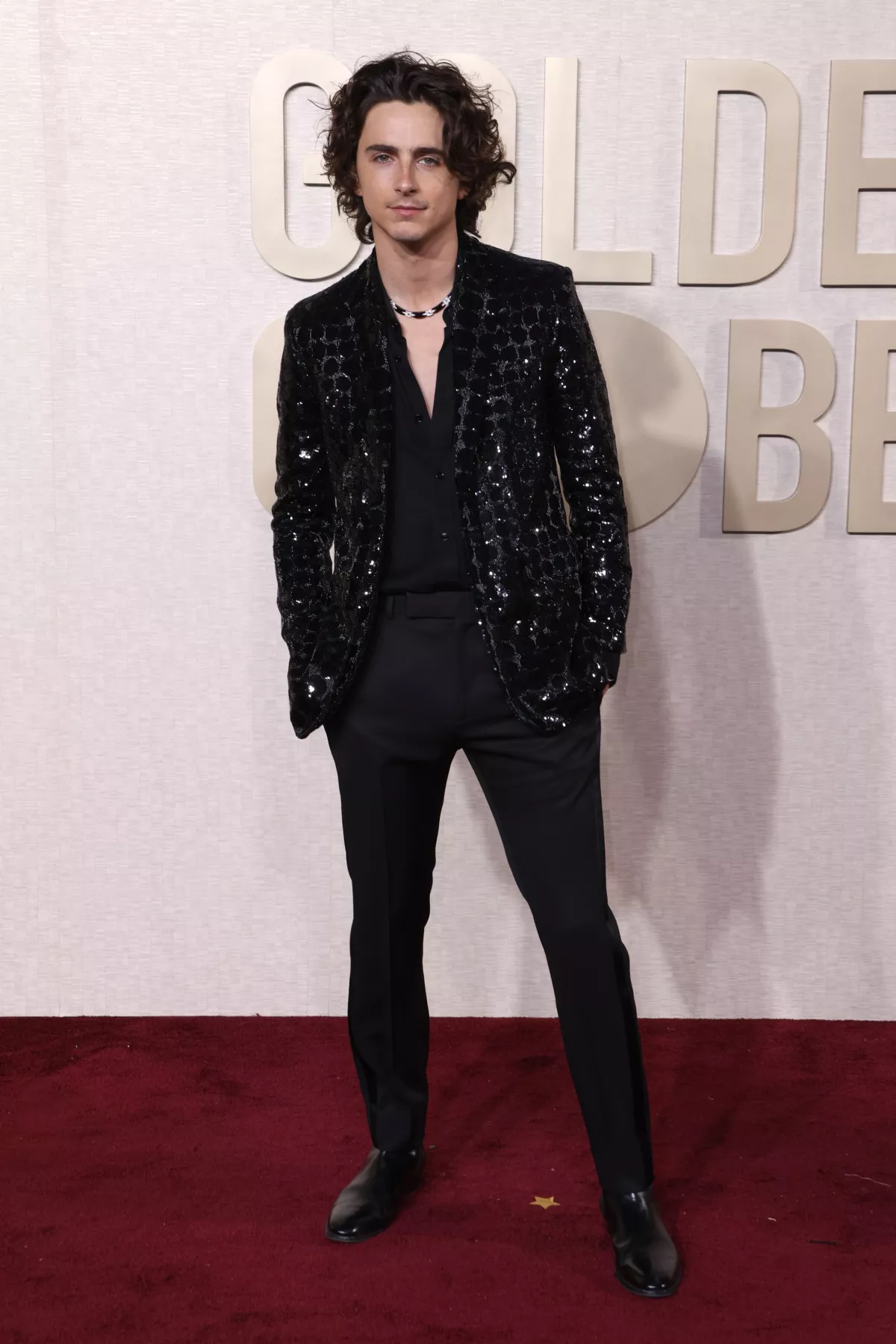 Timothée Chalamet en los Golden Globes 2024