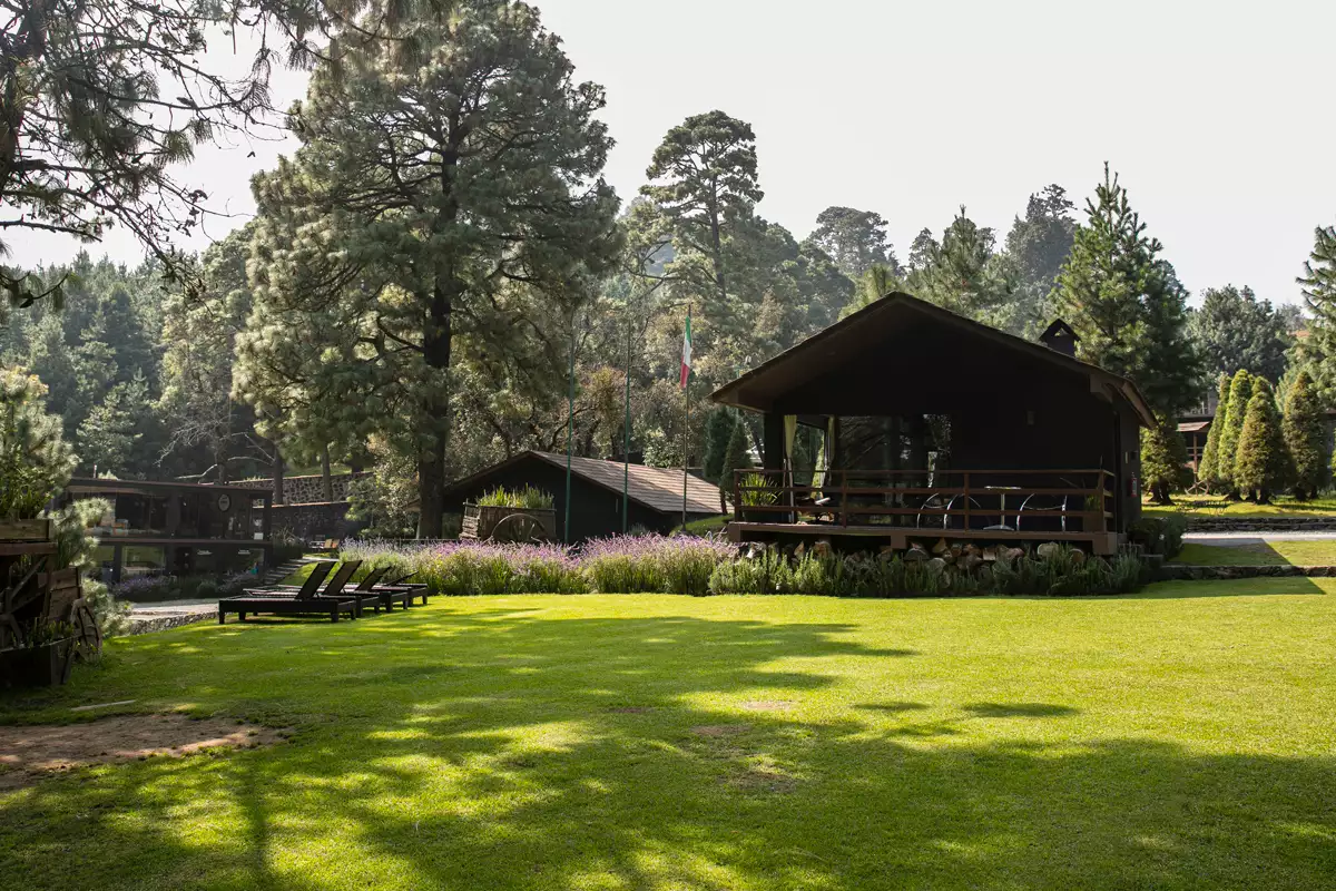 Hotel-Boutique-Organico.jpg