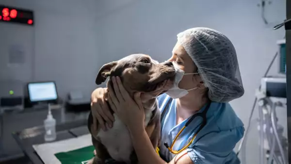 cuando-es-el-dia-mundial-del-veterinario