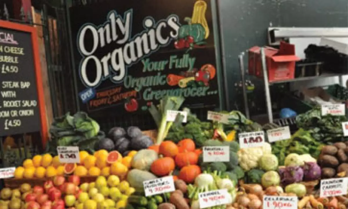 Organico