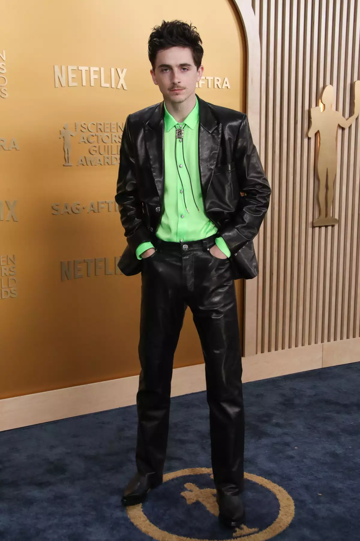 timothee chalamet sag bob dylan