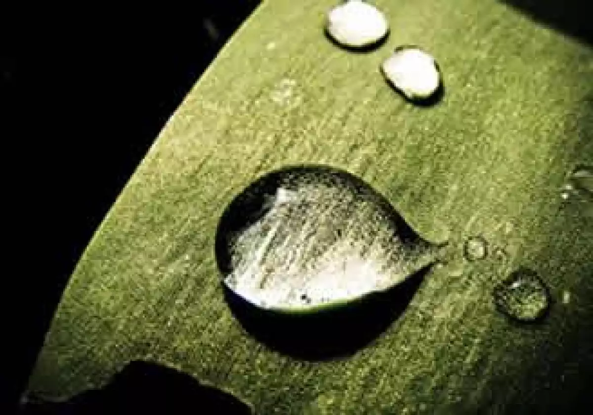 agua_cosecha