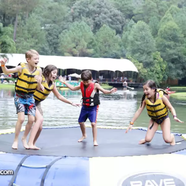 Pablo Oliver,Andrea Antuna,Patricio Solórzano y Sofía Villela