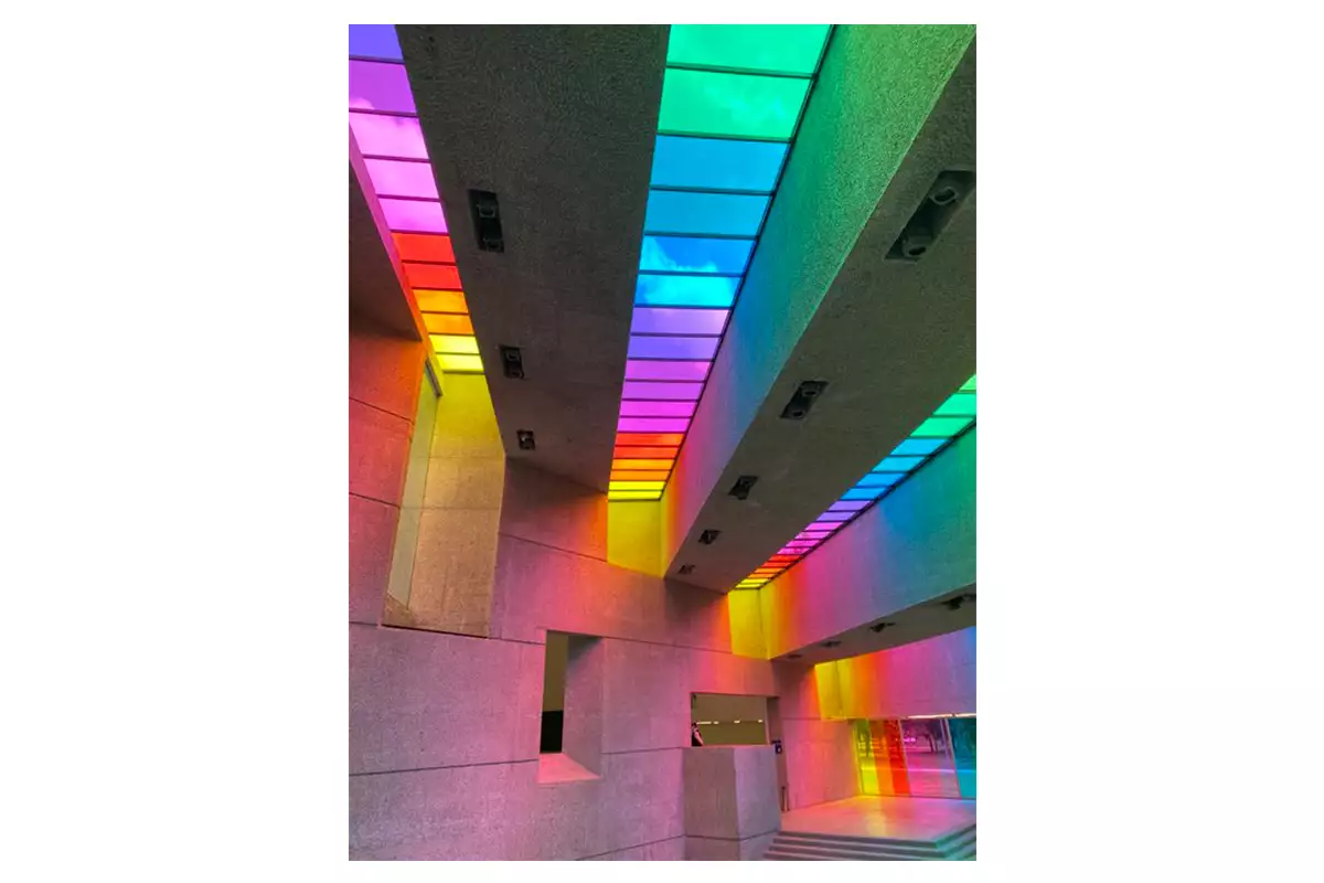 museo tamayo_twitter.jpg