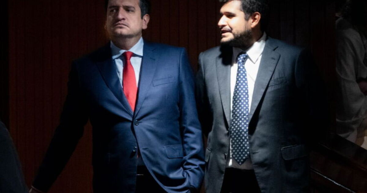 politica