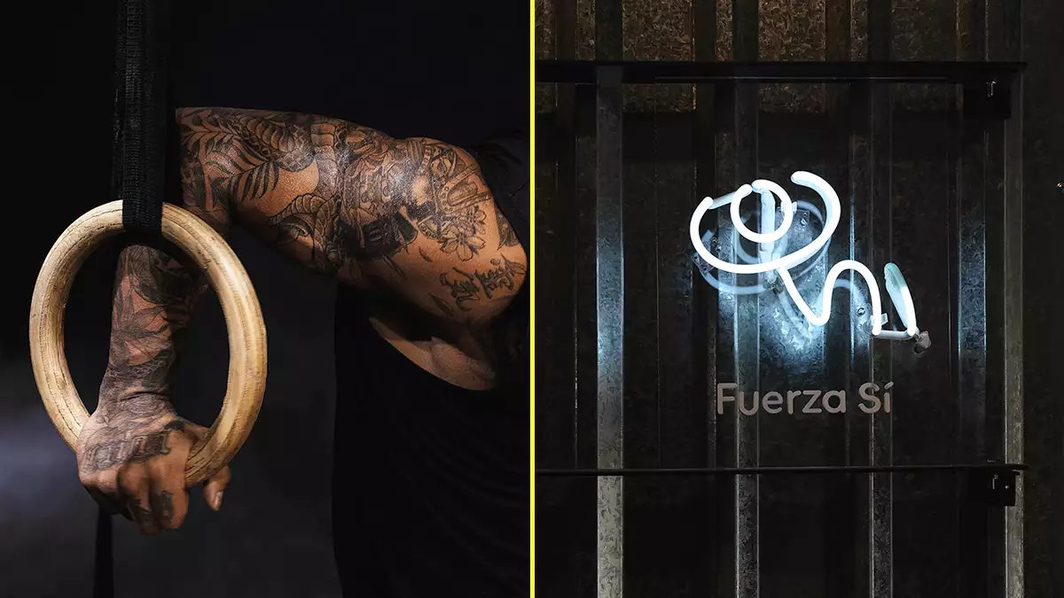Fuerza Si