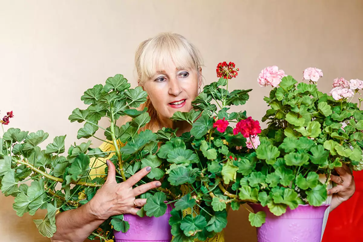 10-señales-plant-lady-1