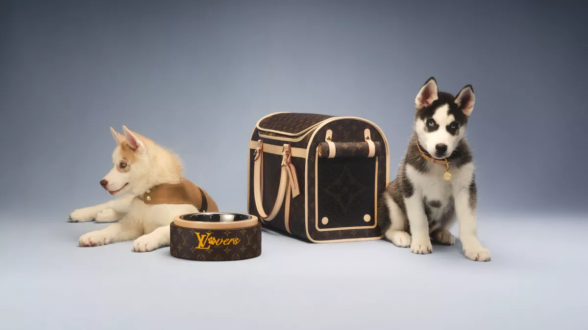 U_BC_GI_PETS_02_DI3.jpg