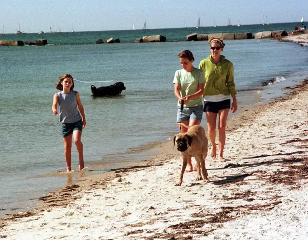 Muere Kyle Francis Kennedy, nieta de Robert F. Kennedy