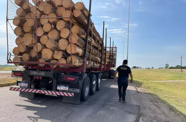 Un camión cargado de madera. Un hombre vestido de negro camina a su lado.