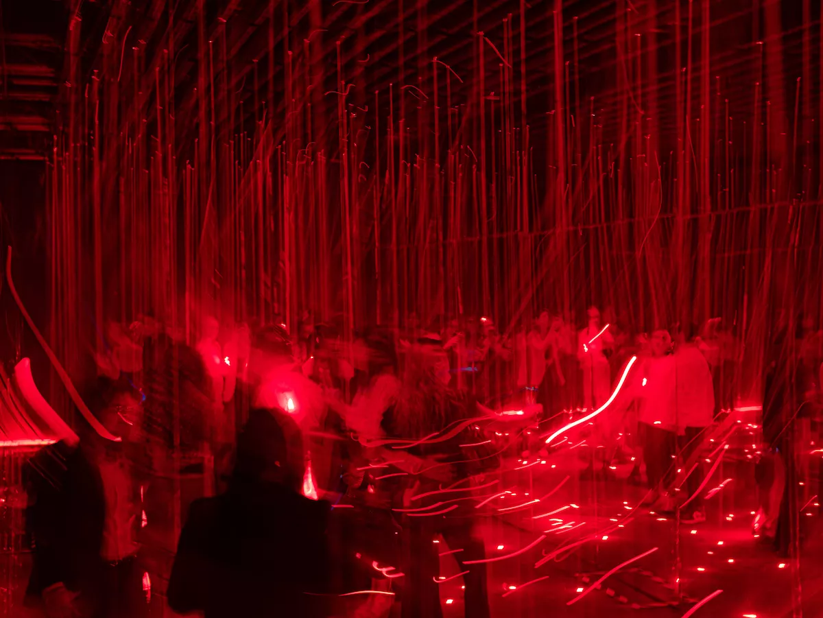 Imagen del espectáculo de láseres rojos en la obscuridad.