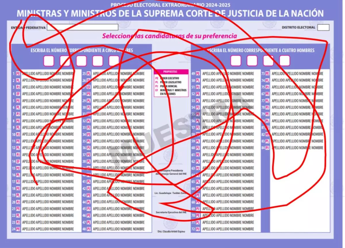 boleta-judicial.jpeg
