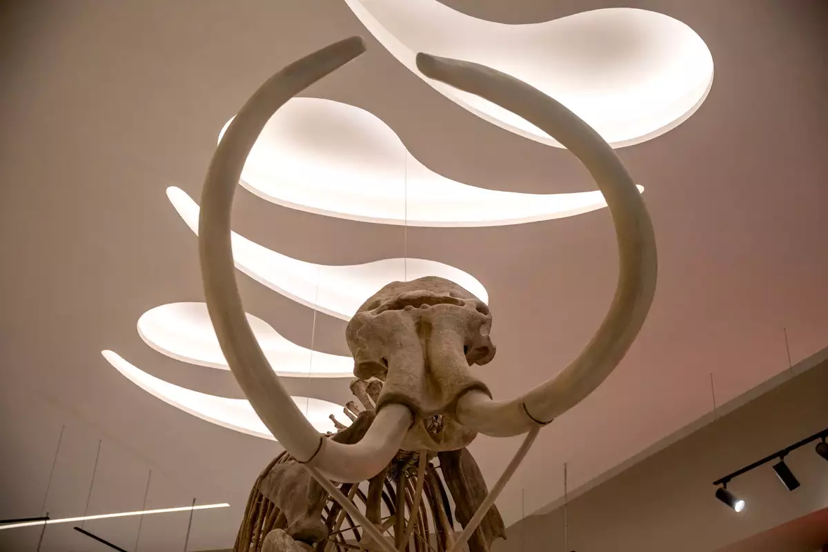 Museo Paleontológico de Santa Lucía Quinametzin