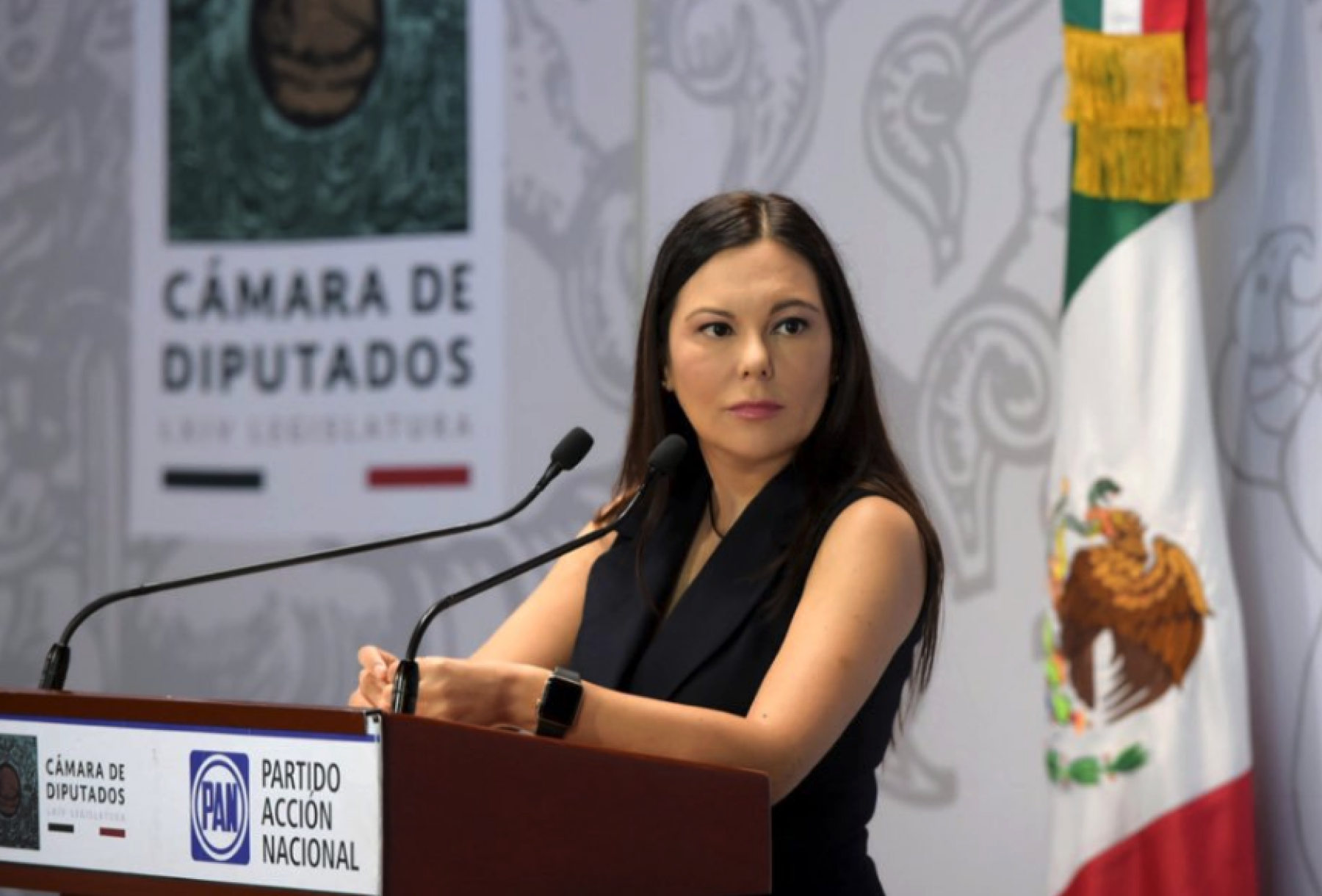 Laura Rojas Reyes ¿Quién es Laura Rojas, la nueva presidenta de San Lázaro?