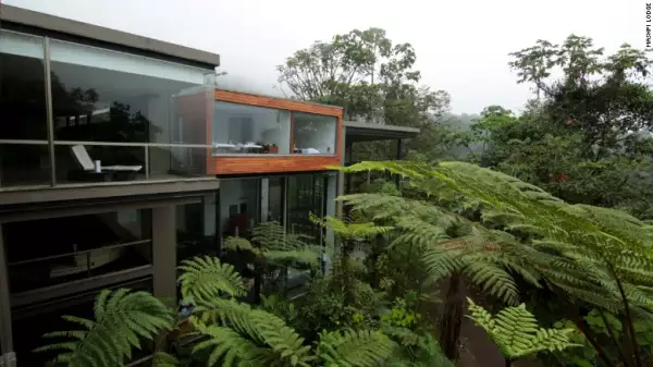 Estructura y diseño