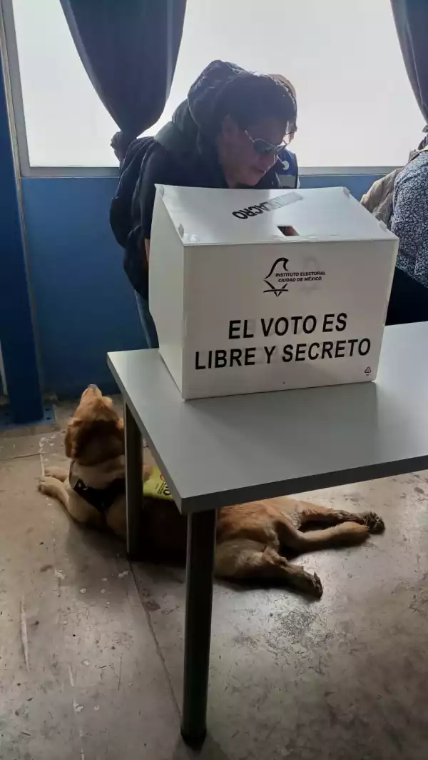 omar-lezama-ciego-vota.jpeg