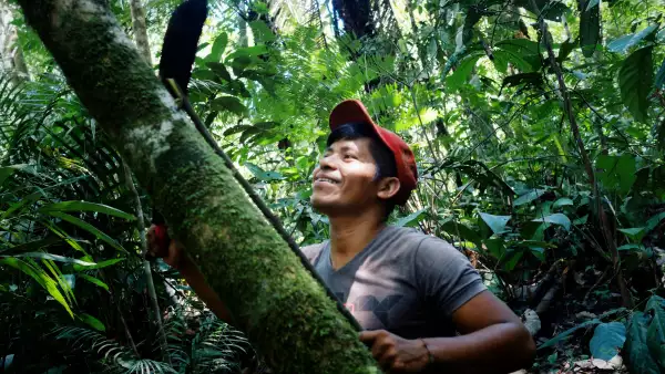 bosques-colombia-posconflicto