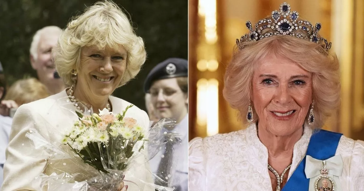 Antes-y-después-de-las-cejas-de-Camilla