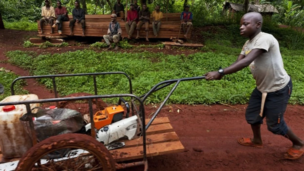 africa trabajo agricultura