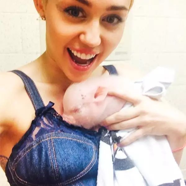 Miley Cyrus ha adquirido esta adorable cerdita y no dudó en presumirla en Instagram.