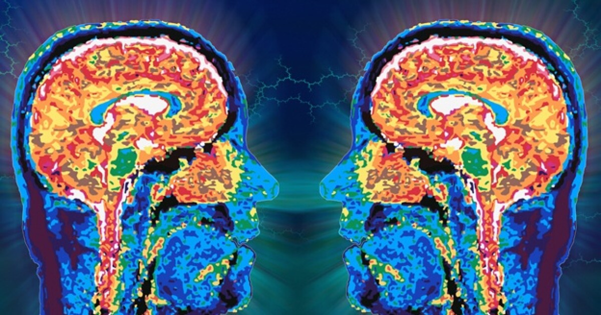 las drogas en tu cerebro sensaciones