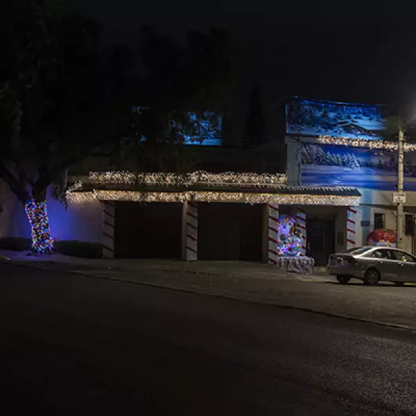 Los árboles en las calles se suman a los techos y fachadas para crear una mejor armonía con las luces navideñas.
