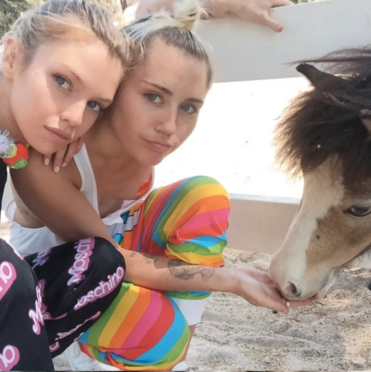 Miley y Stella comparten su pasión por los animales.