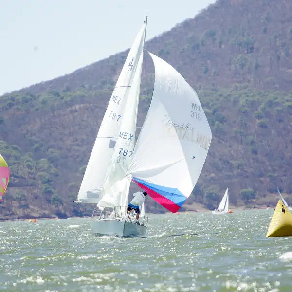 Copa Palacio 2017 