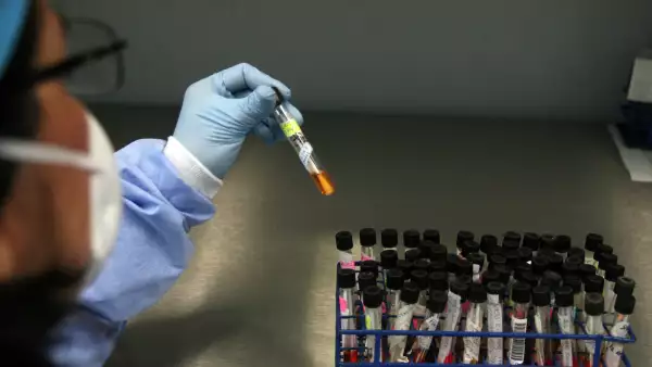 LABORATORIO BIOLOGIA MOLECULAR