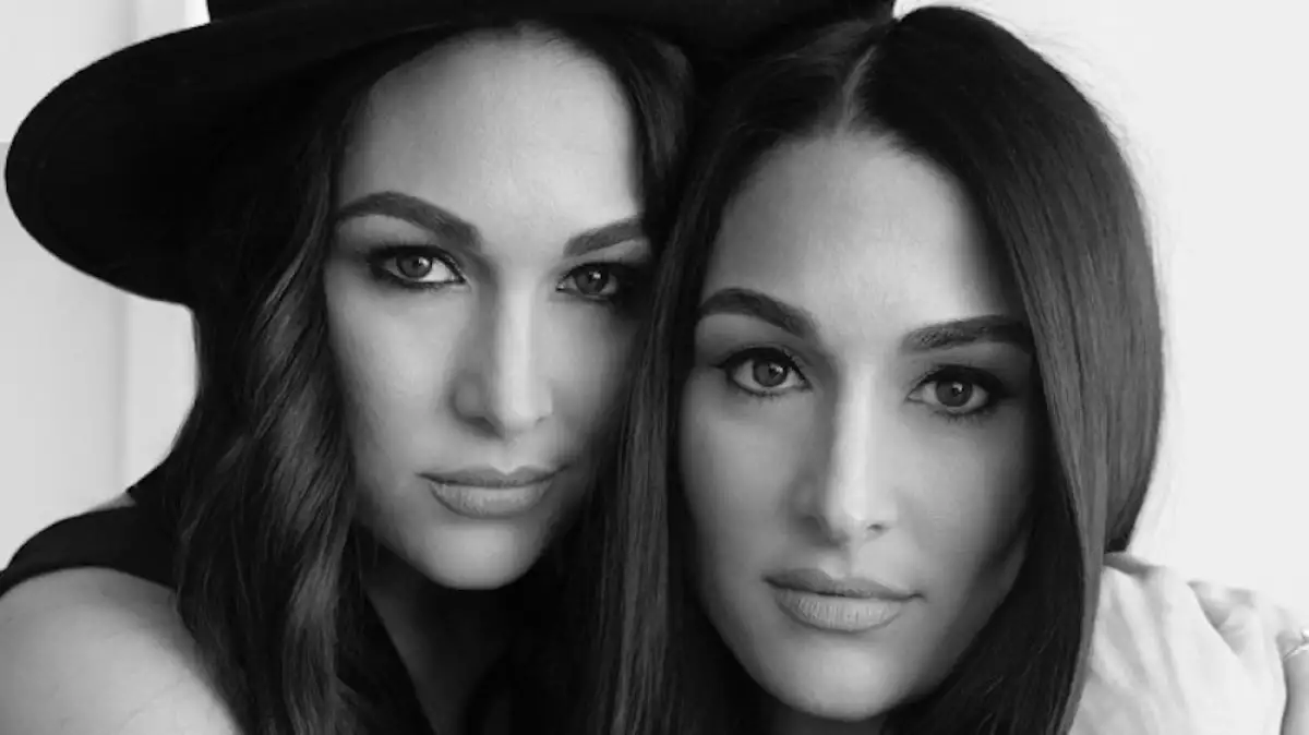 nikki-and-brie-bella.jpg