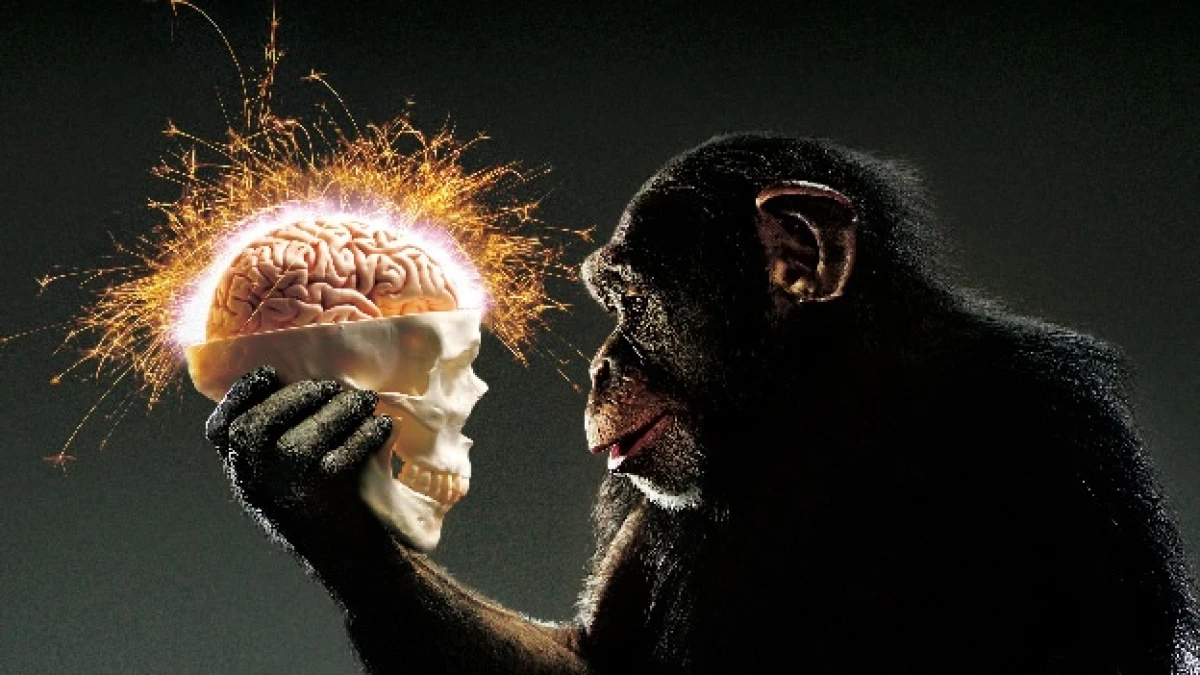inteligencia homo sapiens