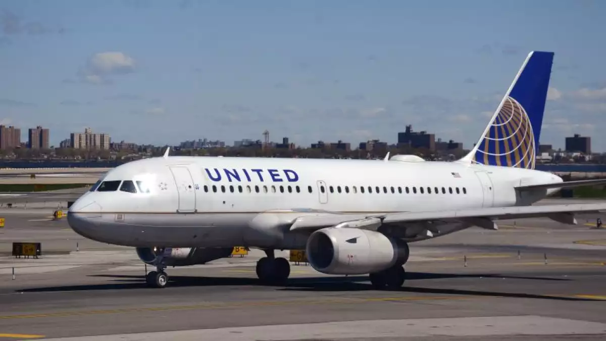 Redundancia y burocracia