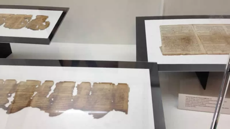 rollos mar muerto feria guadalajara