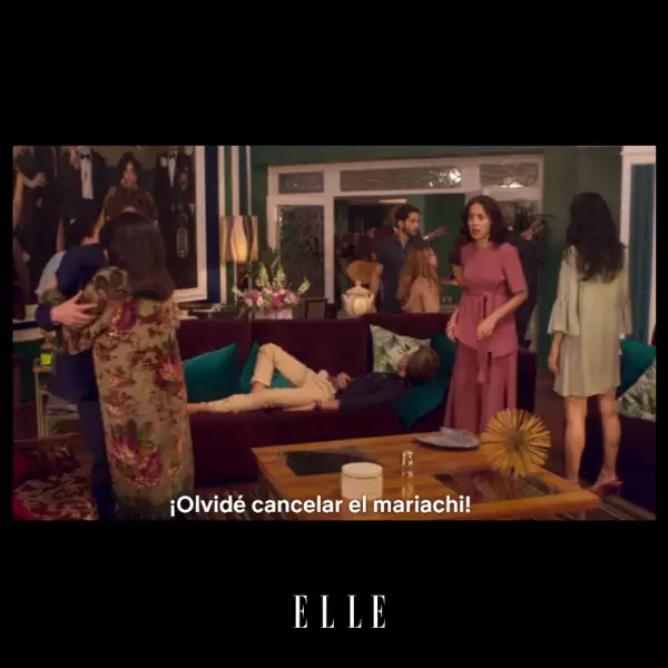 La-Casa-De-Las-Flores-Meme-ELLE-08